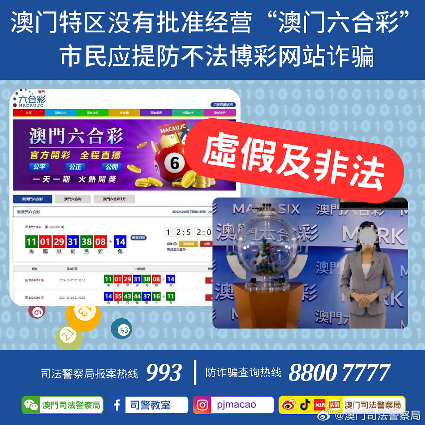 澳门管家婆100%精准,精选解析、解释与落实